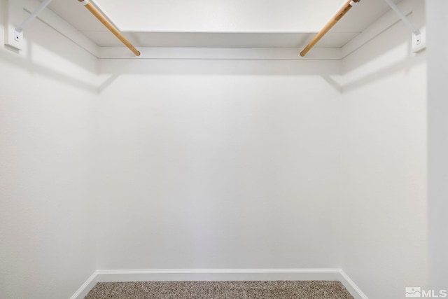 walk in closet with carpet