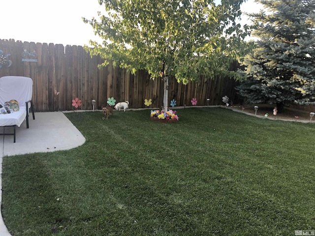 view of yard with a patio and fence