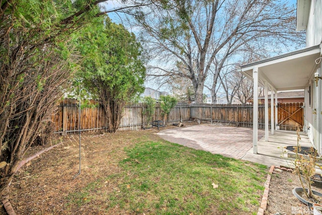 view of yard with a fenced backyard and a patio