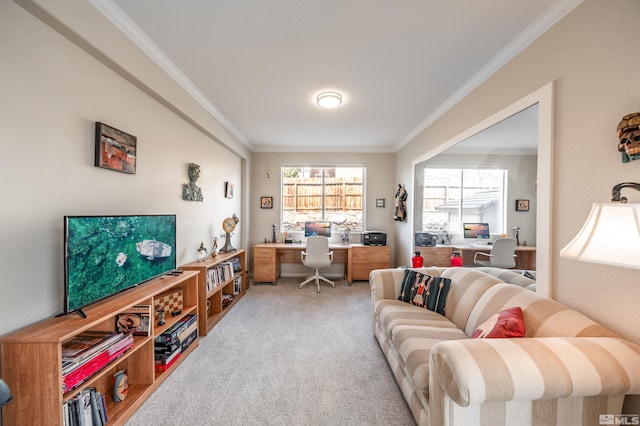 living room featuring carpet floors and crown molding