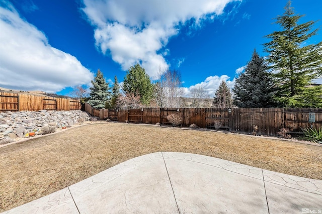 view of yard with a fenced backyard and a patio area