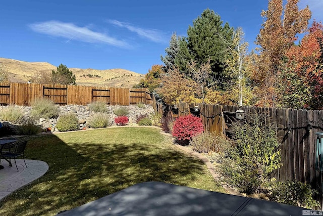 view of yard featuring a mountain view, a patio, and a fenced backyard