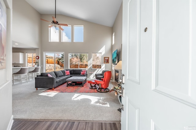 living area with a ceiling fan, wood finished floors, and high vaulted ceiling