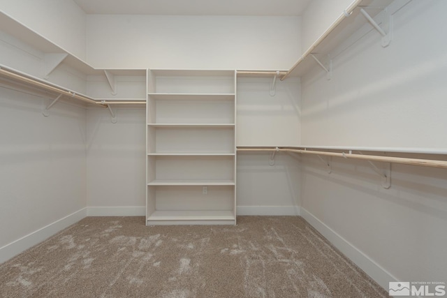 spacious closet with carpet