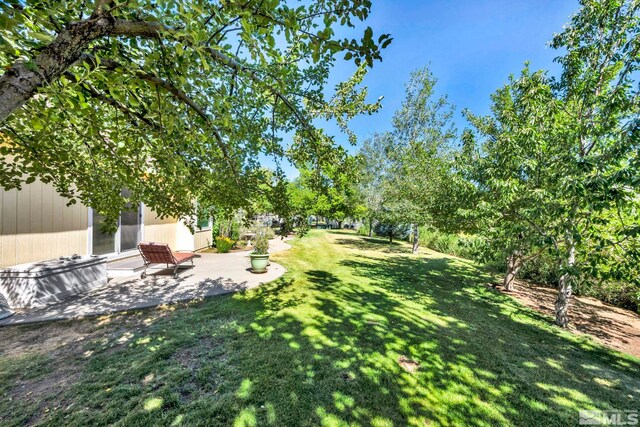 view of yard featuring a patio