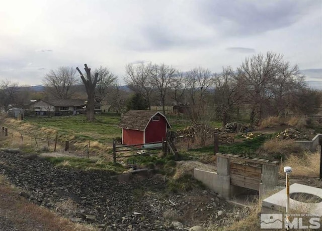 view of yard with a storage shed and an outbuilding