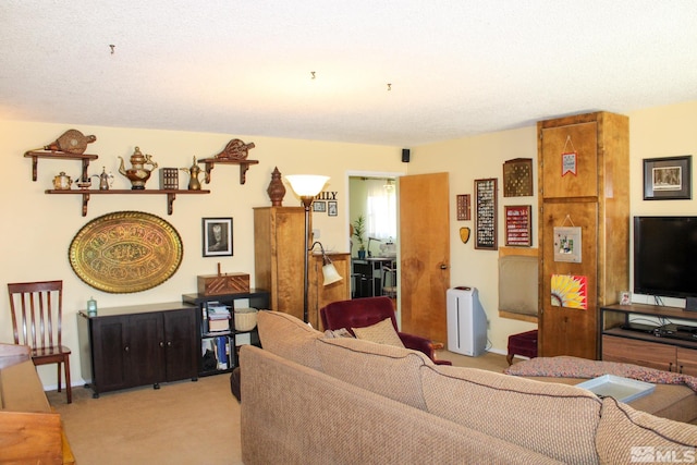 living area featuring light colored carpet and a textured ceiling