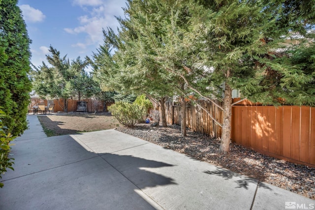 view of yard featuring a patio and a fenced backyard