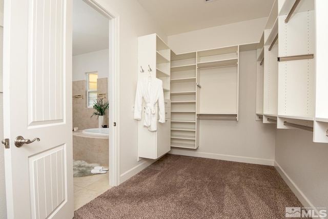 spacious closet with carpet floors