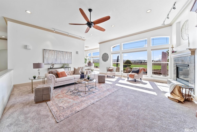 living area with rail lighting, carpet flooring, a fireplace, and a healthy amount of sunlight