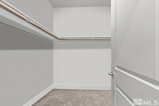 spacious closet featuring carpet flooring