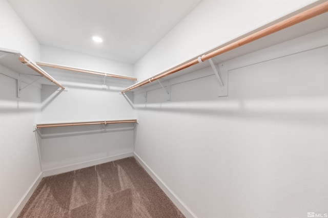 spacious closet with carpet floors