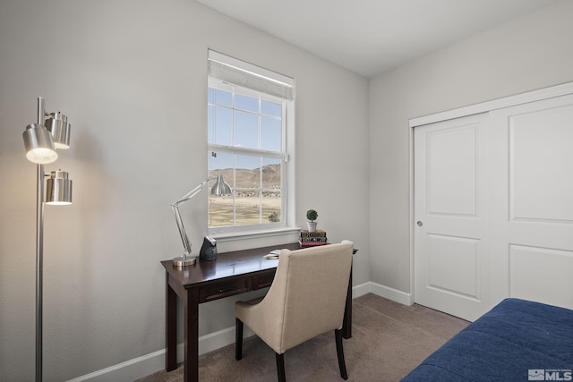 office with carpet and baseboards