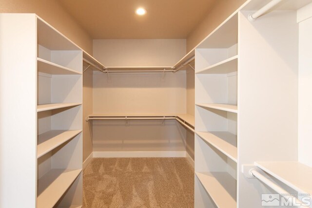 walk in closet with carpet