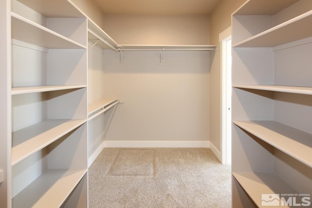 walk in closet with light carpet