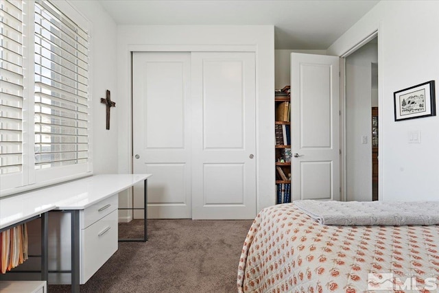 bedroom featuring a closet and dark carpet