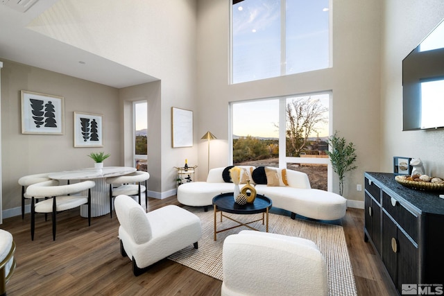 living area with baseboards, dark wood-style floors, and a towering ceiling