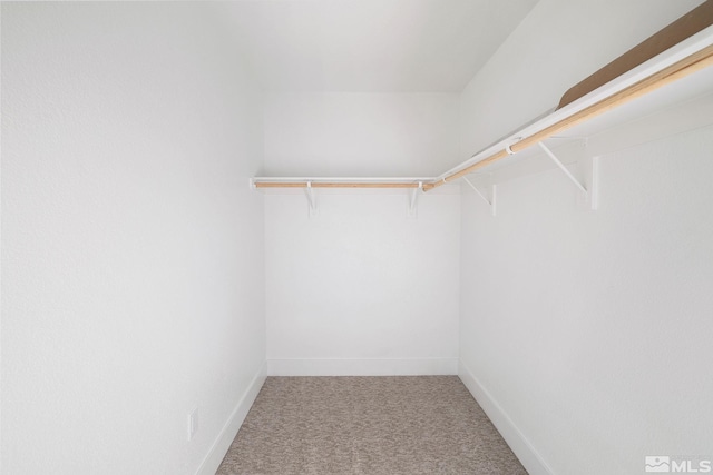 walk in closet featuring carpet floors