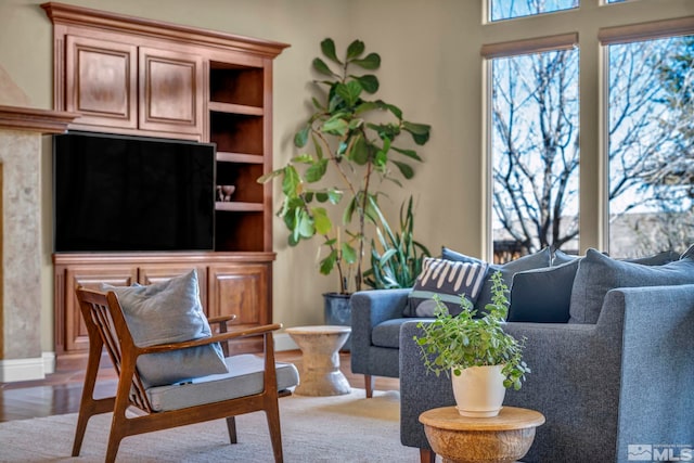 living room featuring wood finished floors