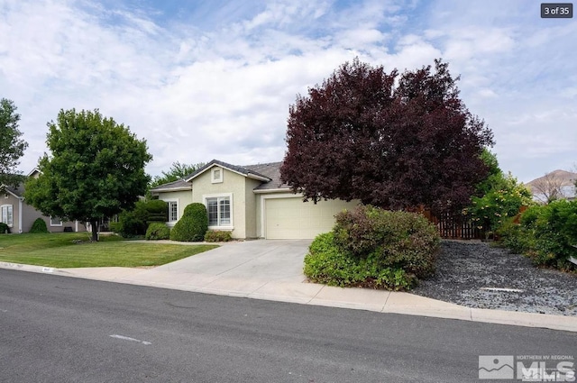 view of front of home featuring stucco siding, driveway, an attached garage, and a front lawn