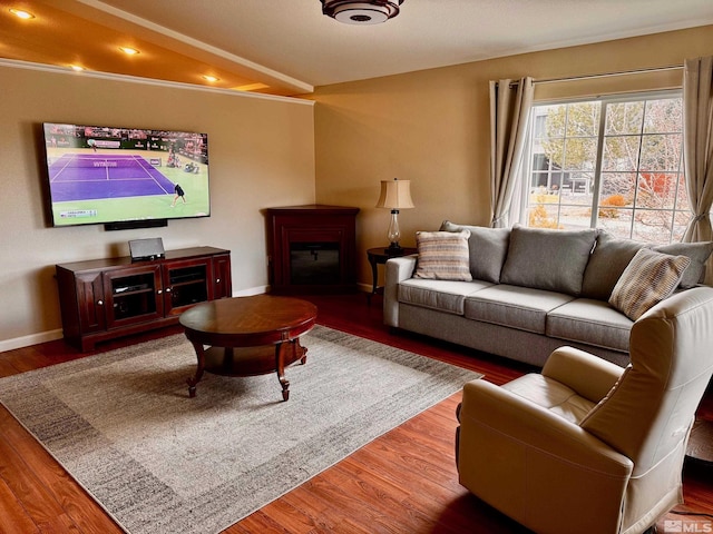 living area featuring a glass covered fireplace, baseboards, and wood finished floors