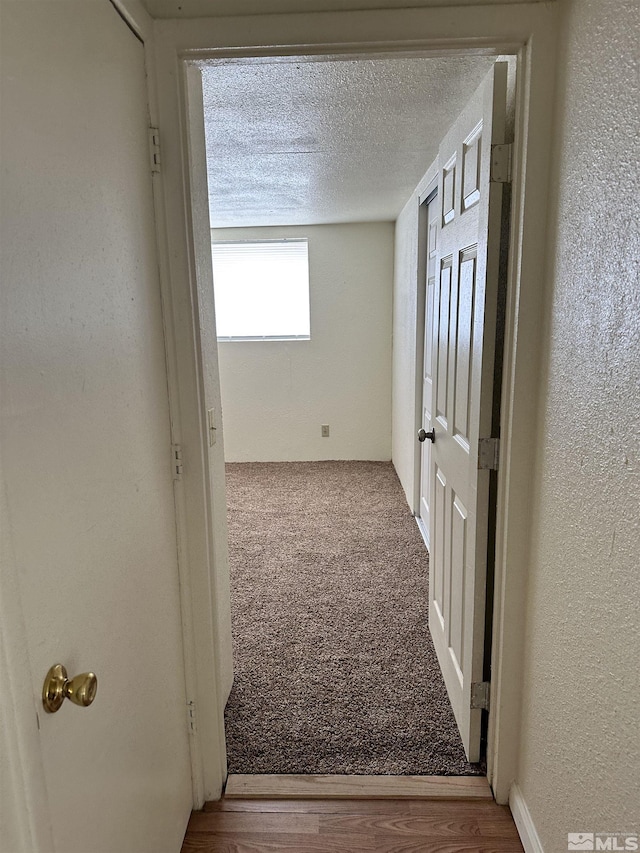 corridor featuring a textured ceiling, carpet, and a textured wall