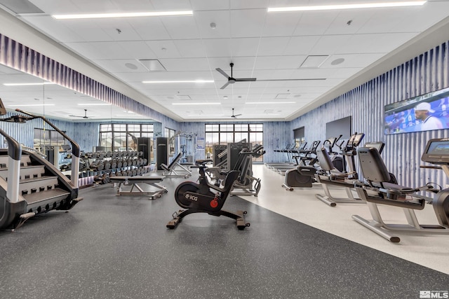 workout area featuring a ceiling fan and a paneled ceiling