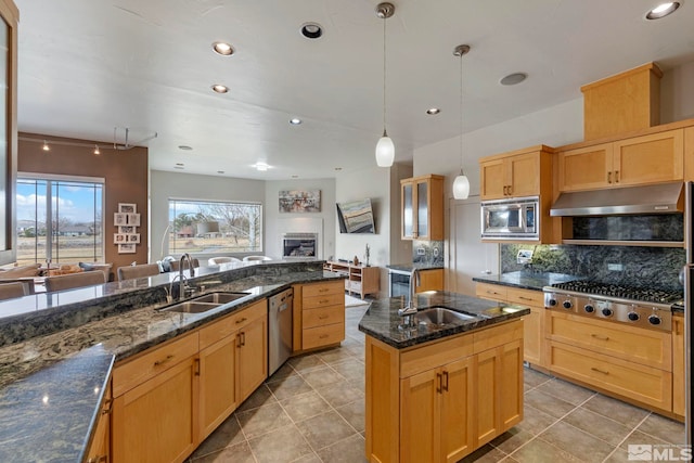 kitchen with a sink, stainless steel appliances, under cabinet range hood, and open floor plan