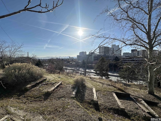 view of yard with a view of city