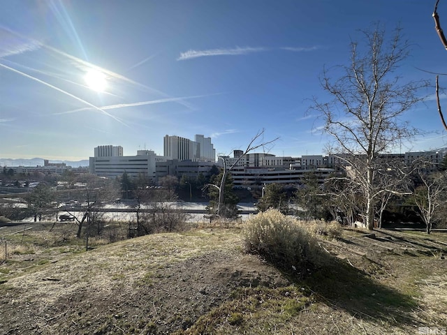 view of yard with a city view