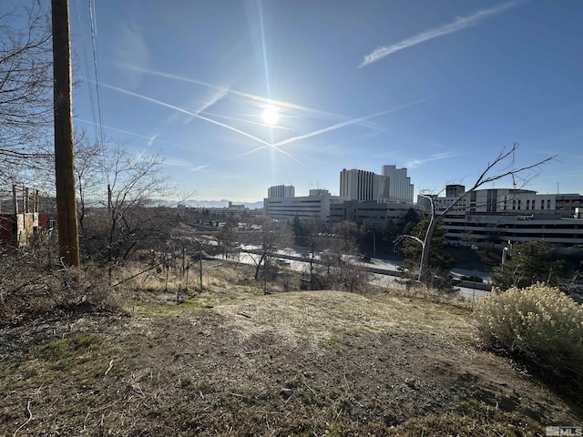 view of yard with a view of city