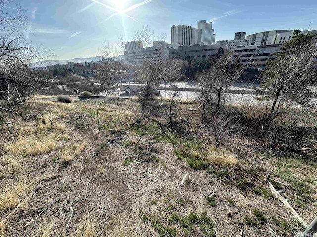 view of yard with a view of city