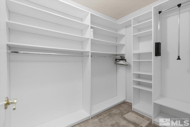 walk in closet with carpet