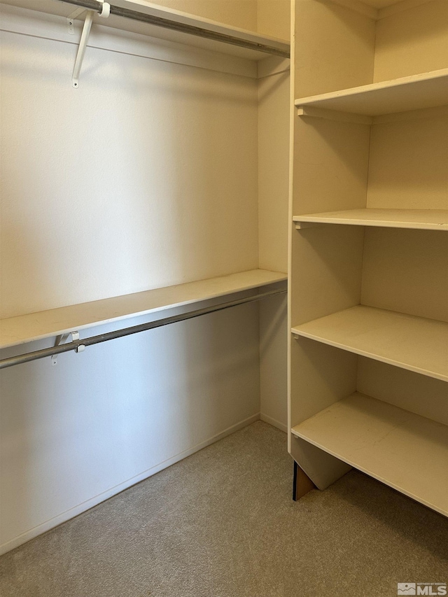 spacious closet featuring carpet floors