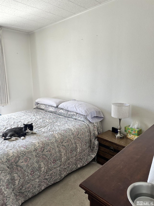 bedroom with carpet