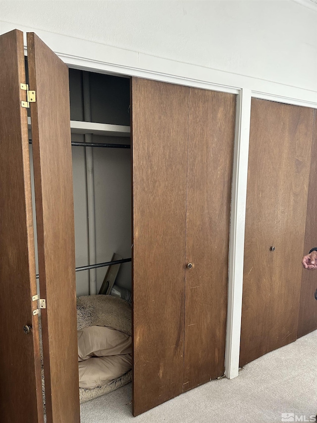 view of closet