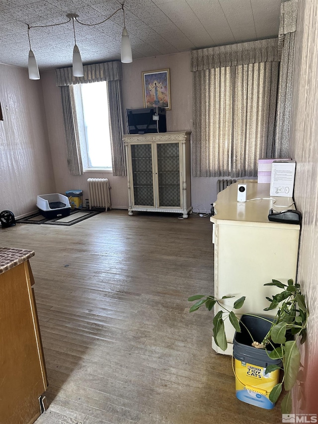 interior space with wood finished floors and radiator