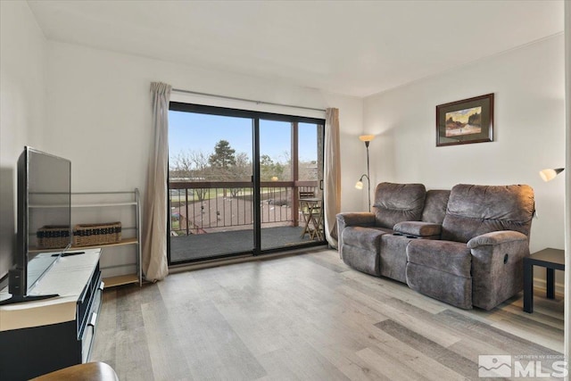 living area with wood finished floors