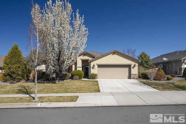 ranch-style house with stucco siding, driveway, stone siding, a front lawn, and a garage