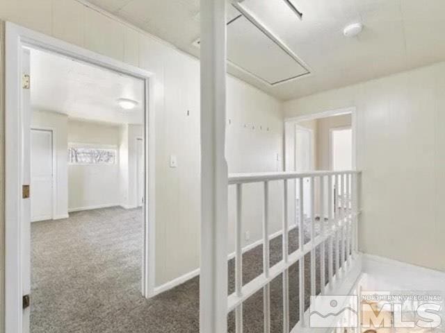 corridor with carpet flooring and attic access