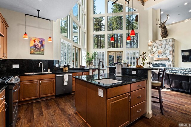 kitchen with a sink, appliances with stainless steel finishes, a high ceiling, and dark wood finished floors