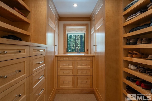view of spacious closet