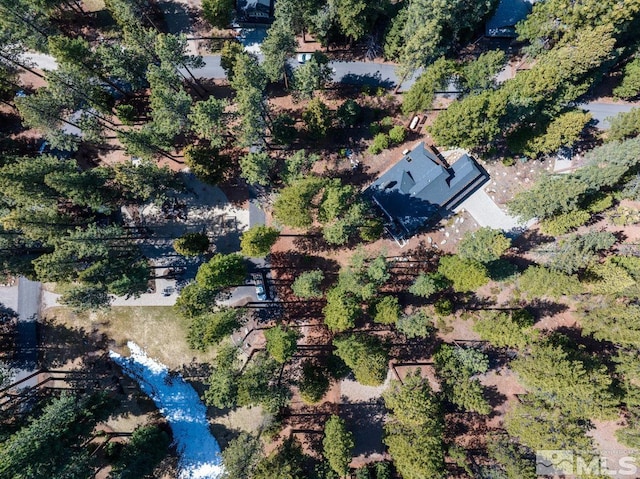 bird's eye view