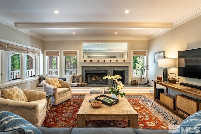 living area with wood finished floors, ornamental molding, a fireplace with raised hearth, and a wealth of natural light