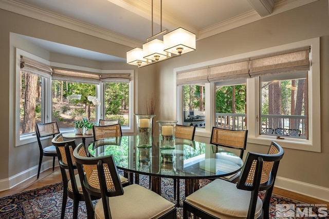 dining area with wood finished floors, baseboards, crown molding, and a healthy amount of sunlight