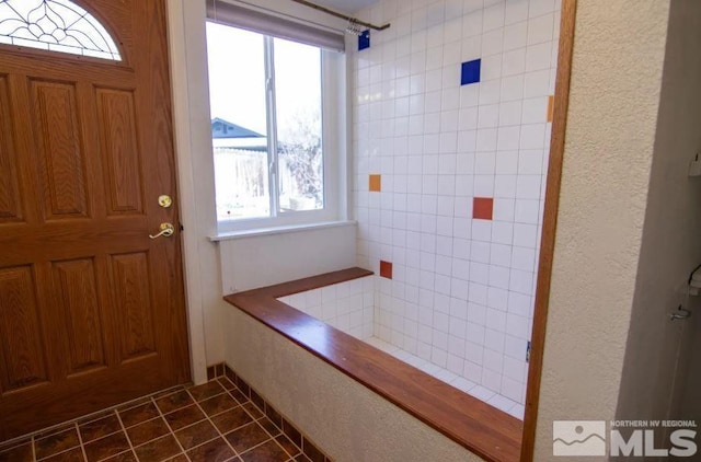 entryway featuring dark tile patterned floors and a wealth of natural light