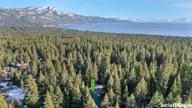 birds eye view of property with a forest view and a water and mountain view