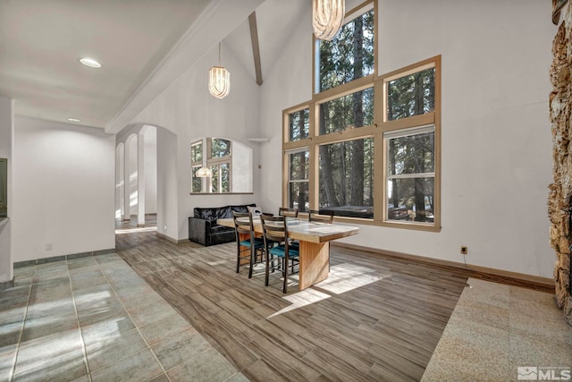 dining area featuring baseboards, high vaulted ceiling, arched walkways, and wood finished floors