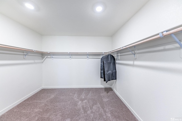 walk in closet featuring carpet floors