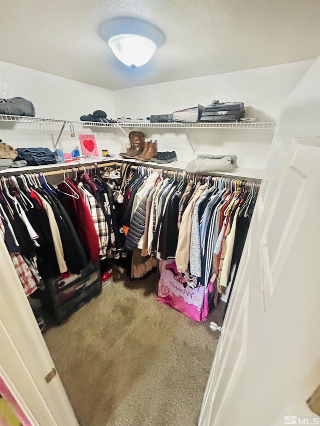 walk in closet featuring carpet flooring